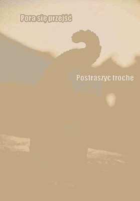 Czarny kot idzie postraszyć w piątek 13-go